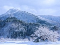 tohoku2017