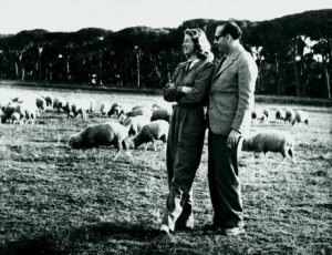3.Ingrid-Bergman