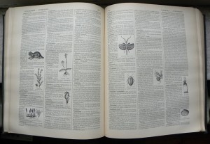 1024px-Nouveau_Dictionnaire_Larousse_page