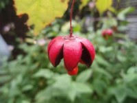 P9210791