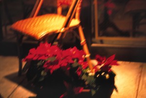 xmas0003