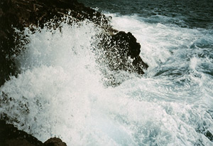 震洋特攻隊 震洋特攻隊